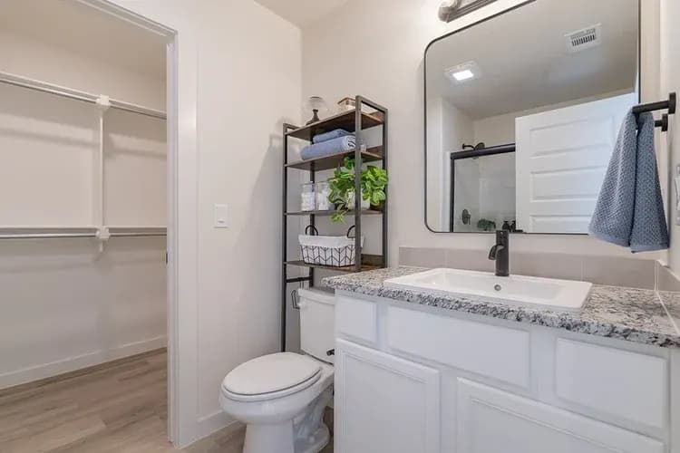 Primary bathroom, shared between The Black Tooth and The Powder River floor plans by Buffalo Built LLC.